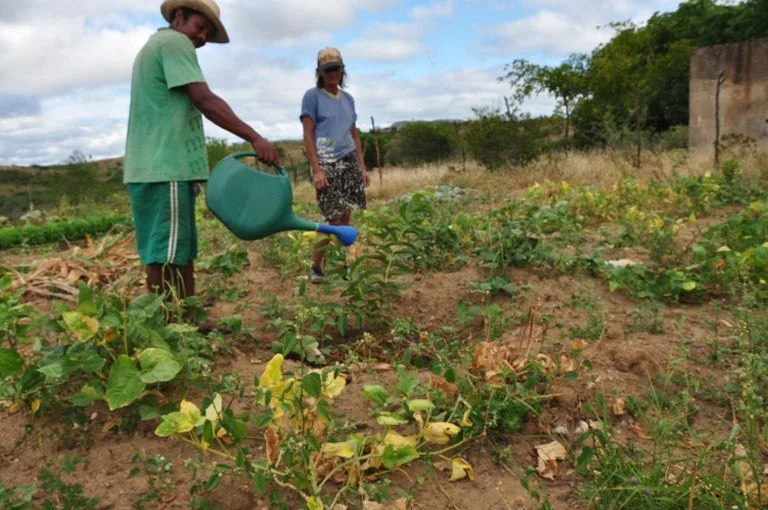 Trabalhador rural no campo recebendo assistência técnica ligada ao Programa Agroamigo do Banco do Nordeste.