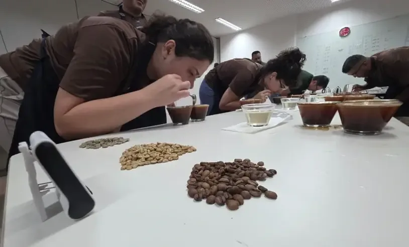 Jurados realizando a análise sensorial de cafés em amostras.