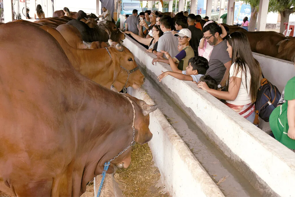 Público visita estandes e exposições na Festa do Boi no Parque Aristófanes Fernandes.