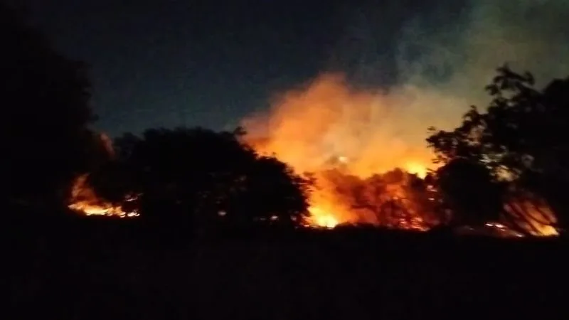 Caminhão do Corpo de Bombeiros atuando em área de vegetação da UFRN.