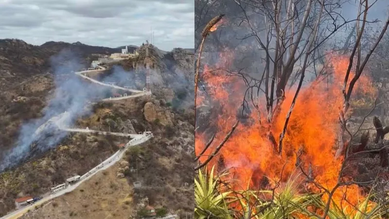 Imagem da vegetação do Monte do Galo após o princípio de incêndio controlado.