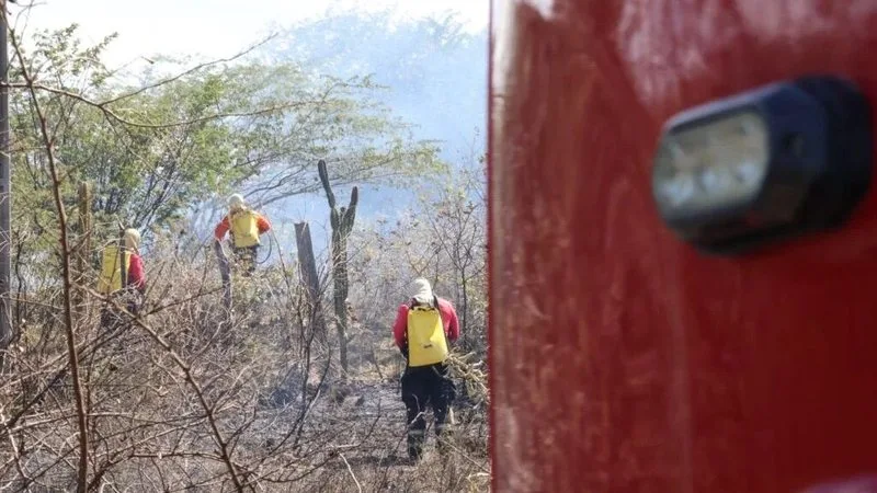 Viaturas do Corpo de Bombeiros Militar do Rio Grande do Norte em operação.