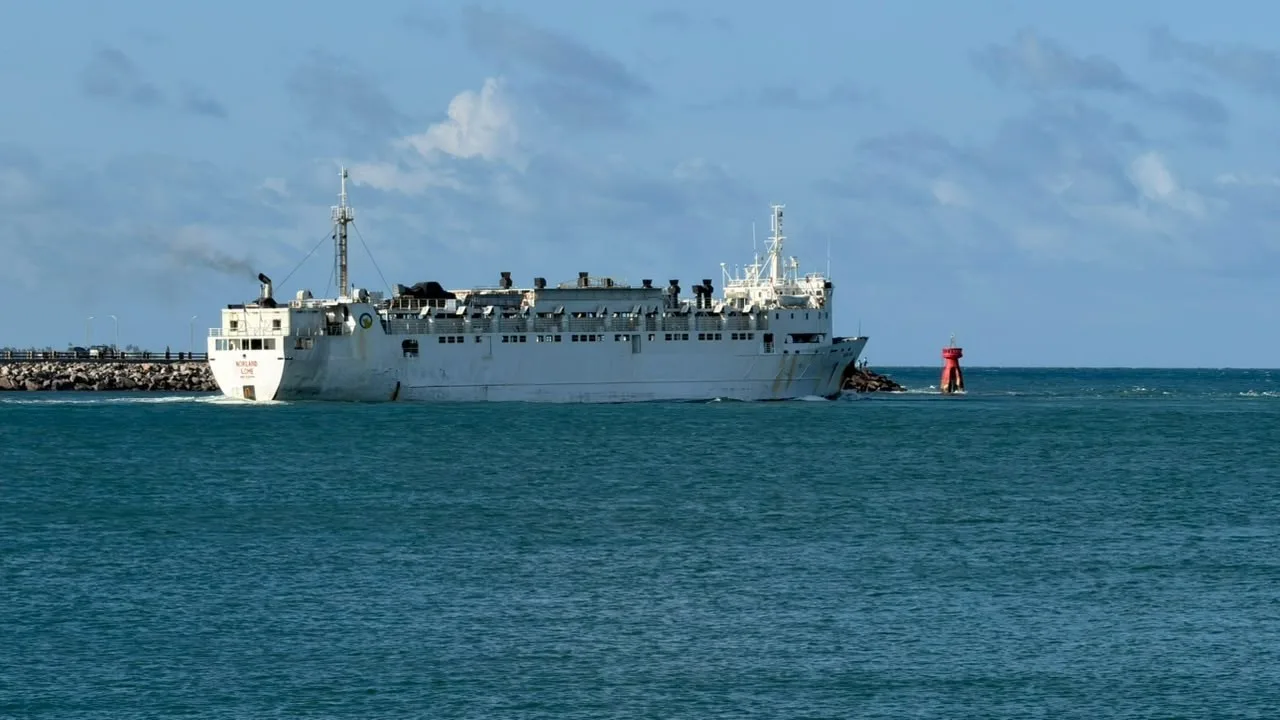 Navio cargueiro atracado no Porto de Natal durante operação de embarque de bois.