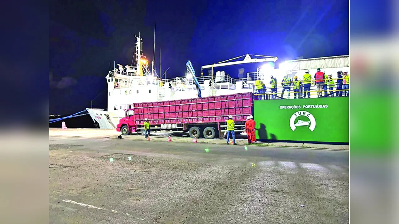 Caminhão transporta gado junto a navio no Porto de Natal